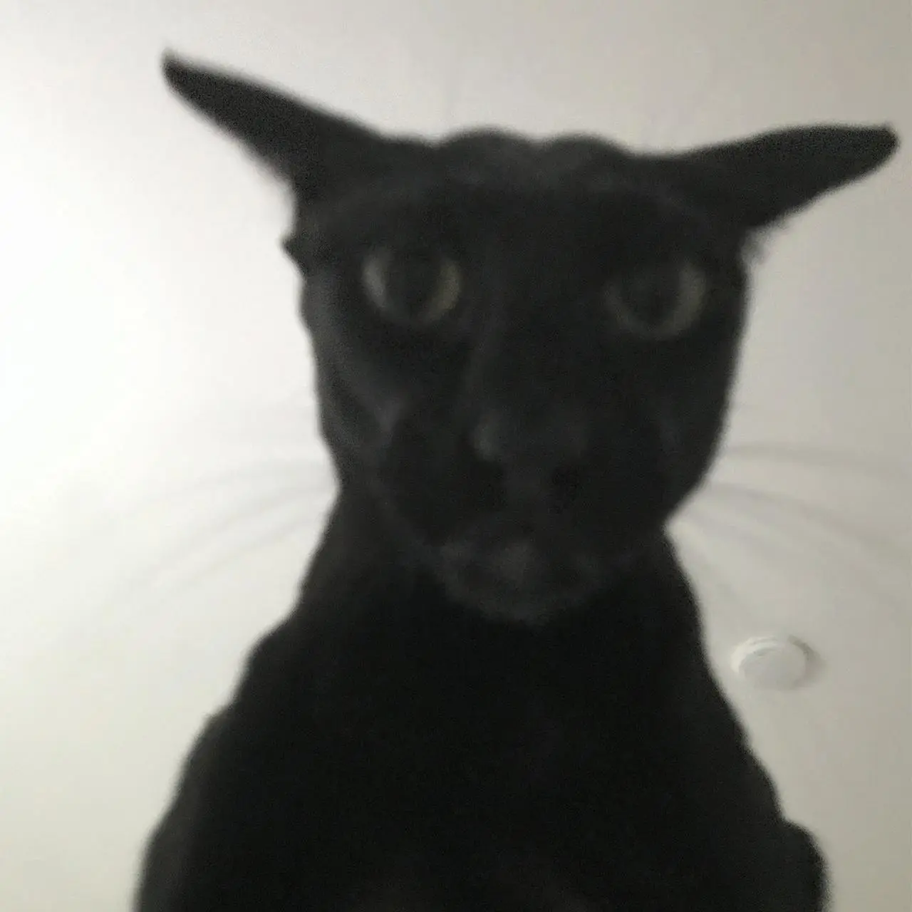 Evil Larry